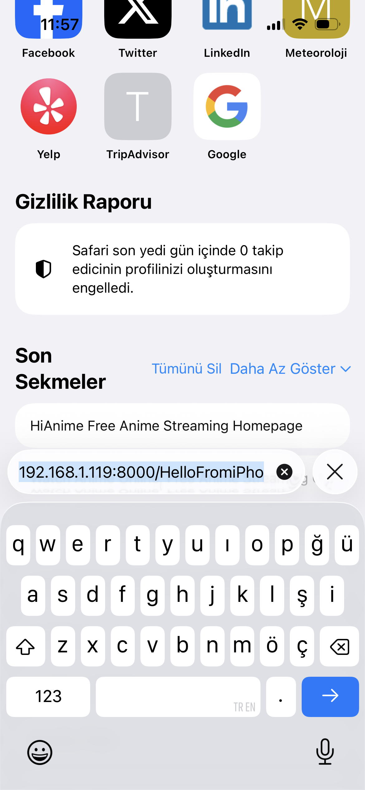 iPhone Safari entering the local network URL